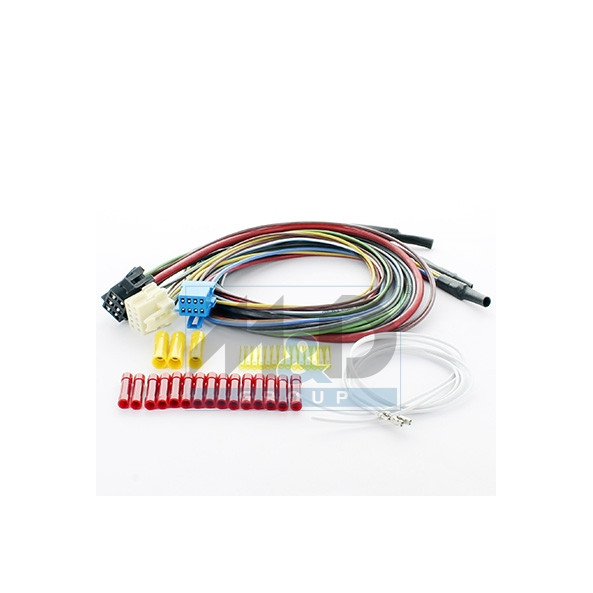 PIECES POUR SYSTEMES DE GESTION MOTEUR